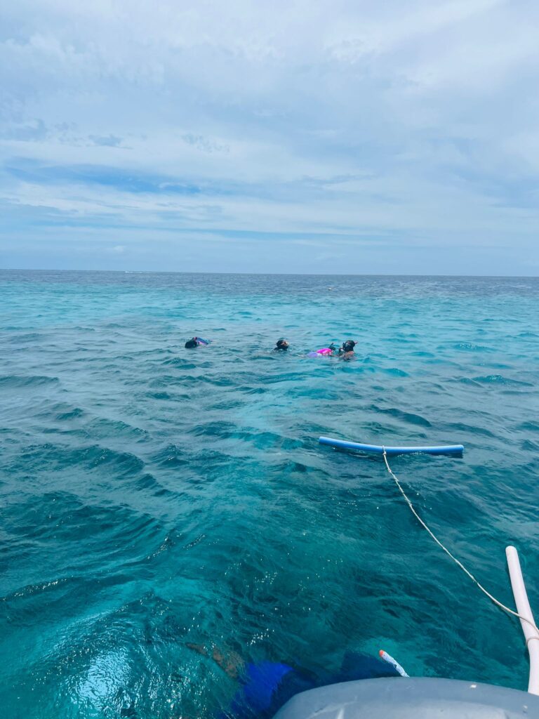 Inshore Light Fishing Tackle