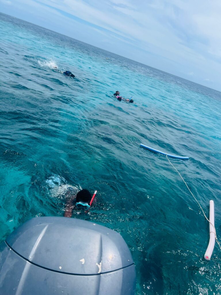 Inshore Light Fishing Tackle