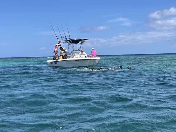 Inshore Light Fishing Tackle